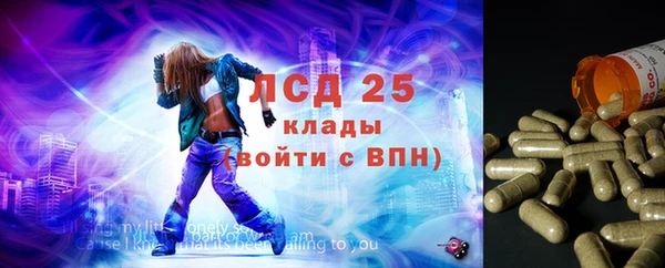 трава Арсеньев